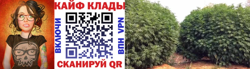 Какие есть наркотики Бавлы Cocaine  МЕТАМФЕТАМИН  Псилоцибиновые грибы  ГАШ  АМФЕТАМИН 