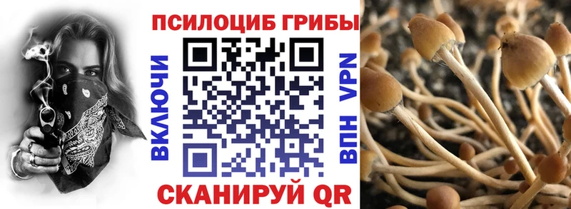 Псилоцибиновые грибы прущие грибы  цена наркотик  Бавлы 